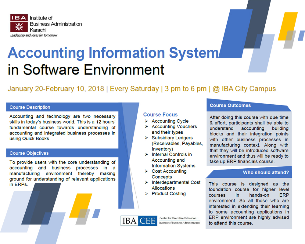 Accounting Information System in Software Environment