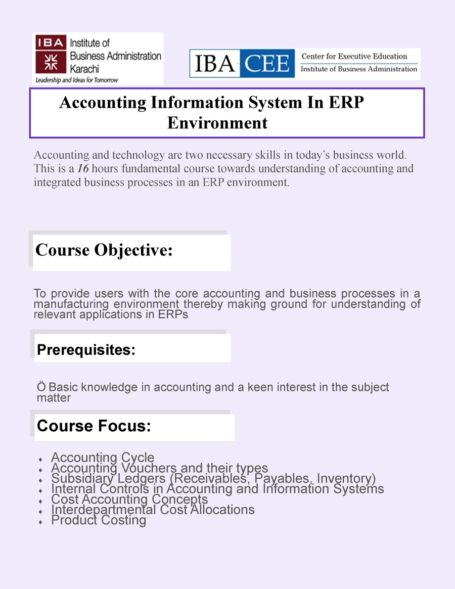 Accounting Information System in ERP Environment